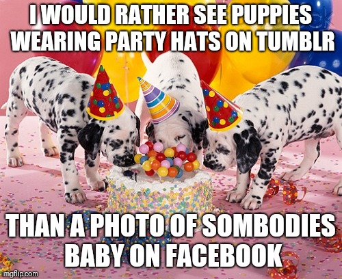 For those sick of seeing your friends babies and children over Facebook | I WOULD RATHER SEE PUPPIES WEARING PARTY HATS ON TUMBLR; THAN A PHOTO OF SOMBODIES BABY ON FACEBOOK | image tagged in party puppers,memes,dog memes,pupper,puppy,facebook sucks | made w/ Imgflip meme maker