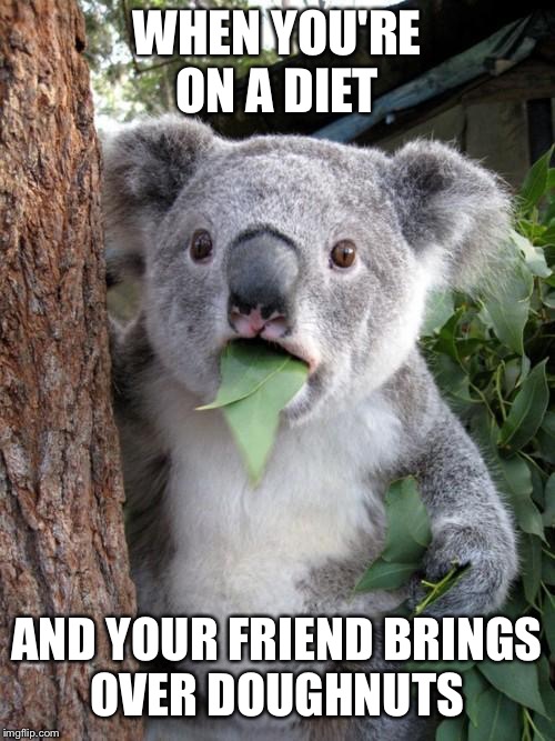 Surprised Koala Meme | WHEN YOU'RE ON A DIET; AND YOUR FRIEND BRINGS OVER DOUGHNUTS | image tagged in memes,surprised koala | made w/ Imgflip meme maker