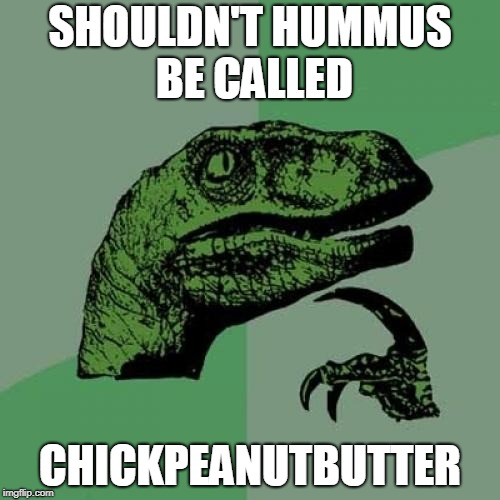 Philosoraptor | SHOULDN'T HUMMUS BE CALLED; CHICKPEANUTBUTTER | image tagged in memes,philosoraptor | made w/ Imgflip meme maker