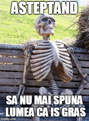 Waiting Skeleton Meme | ASTEPTAND; SA NU MAI SPUNA LUMEA CA IS GRAS | image tagged in memes,waiting skeleton | made w/ Imgflip meme maker