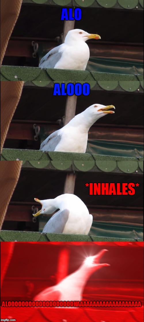 Inhaling Seagull Meme | ALO; ALOOO; *INHALES*; ALOOOOOOOOOOOOOOOOOOOHAAAAAAAAAAAAAAAAAAAA | image tagged in memes,inhaling seagull | made w/ Imgflip meme maker