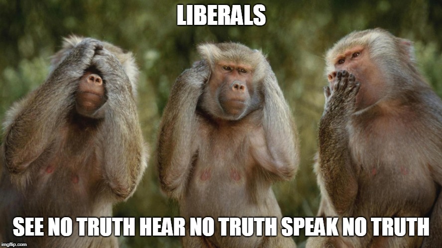 LIARS | LIBERALS; SEE NO TRUTH HEAR NO TRUTH SPEAK NO TRUTH | image tagged in liars | made w/ Imgflip meme maker