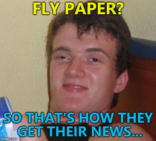 It... zooms off the shelves... :) | FLY PAPER? SO THAT'S HOW THEY GET THEIR NEWS... | image tagged in memes,10 guy,flies,fly paper,papers,news | made w/ Imgflip meme maker