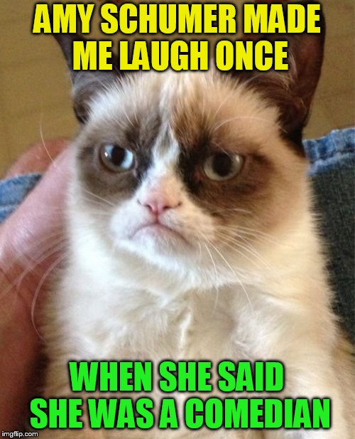 Grumpy Cat Meme | AMY SCHUMER MADE ME LAUGH ONCE WHEN SHE SAID SHE WAS A COMEDIAN | image tagged in memes,grumpy cat | made w/ Imgflip meme maker