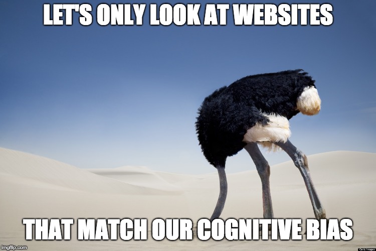 Ostrich head in sand | LET'S ONLY LOOK AT WEBSITES THAT MATCH OUR COGNITIVE BIAS | image tagged in ostrich head in sand | made w/ Imgflip meme maker