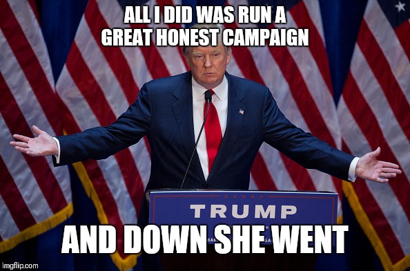 Donald Trump | ALL I DID WAS RUN A GREAT HONEST CAMPAIGN AND DOWN SHE WENT | image tagged in donald trump | made w/ Imgflip meme maker