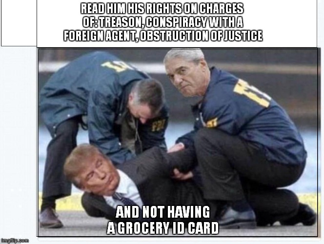 Mueller Time | READ HIM HIS RIGHTS ON CHARGES OF: TREASON, CONSPIRACY WITH A FOREIGN AGENT, OBSTRUCTION OF JUSTICE; AND NOT HAVING A GROCERY ID CARD | image tagged in donald trump,russia investigation | made w/ Imgflip meme maker