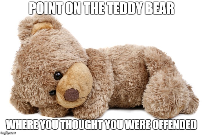 teddy bear | POINT ON THE TEDDY BEAR; WHERE YOU THOUGHT YOU WERE OFFENDED | image tagged in teddy bear | made w/ Imgflip meme maker