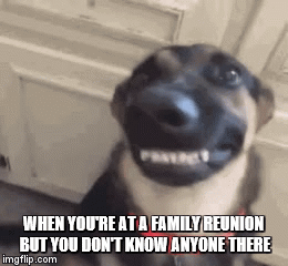 family reunion | WHEN YOU'RE AT A FAMILY REUNION BUT YOU DON'T KNOW ANYONE THERE | image tagged in gifs | made w/ Imgflip video-to-gif maker