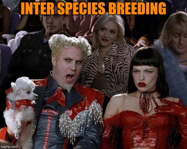 Mugatu So Hot Right Now Meme | INTER SPECIES BREEDING | image tagged in memes,mugatu so hot right now | made w/ Imgflip meme maker