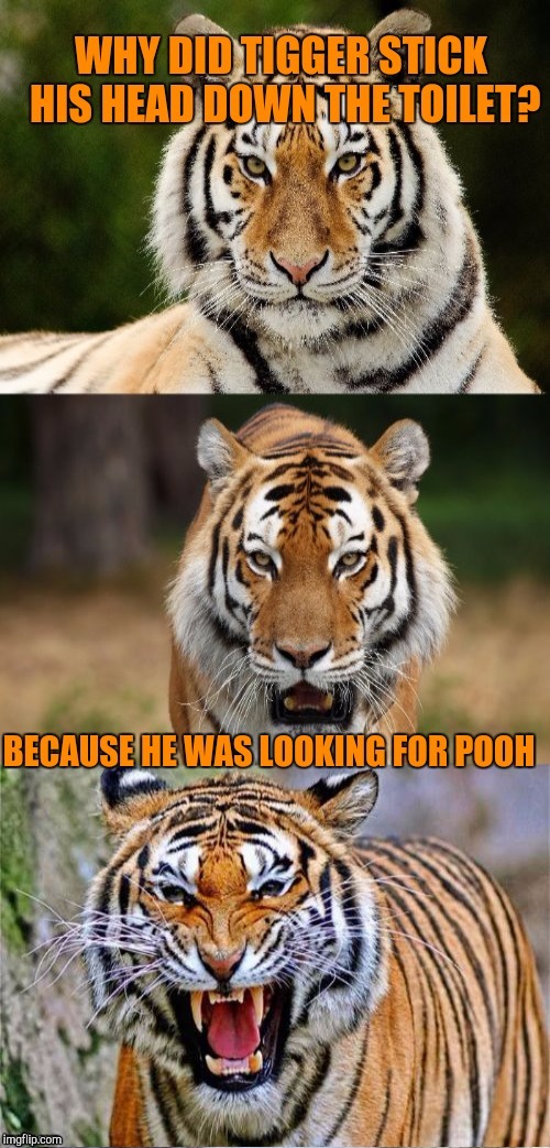 Tiger makes an appearance in Tiger Week 2018, July 29 - August 5, a TigerLegend1046 event | H | image tagged in memes,tiger week 2018,tiger week,tigerlegend1046,tigger,winnie the pooh | made w/ Imgflip meme maker