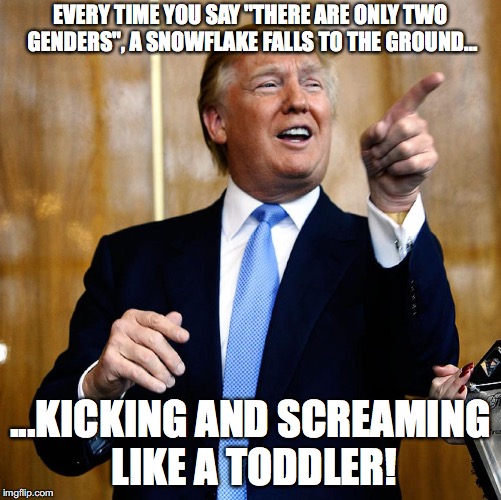 Donald Trump | EVERY TIME YOU SAY "THERE ARE ONLY TWO GENDERS", A SNOWFLAKE FALLS TO THE GROUND... ...KICKING AND SCREAMING LIKE A TODDLER! | image tagged in donald trump,funny,memes,snowflakes,sjws,2 genders | made w/ Imgflip meme maker