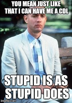Forest gump | YOU MEAN JUST LIKE THAT I CAN HAVE ME A CDL; STUPID IS AS STUPID DOES | image tagged in forest gump | made w/ Imgflip meme maker