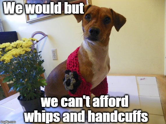 We would but we can't afford whips and handcuffs | made w/ Imgflip meme maker