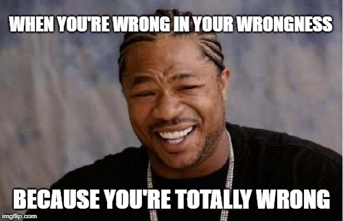 Ego Slam | WHEN YOU'RE WRONG IN YOUR WRONGNESS; BECAUSE YOU'RE TOTALLY WRONG | image tagged in memes,yo dawg heard you,wrong,error,mistake,ego | made w/ Imgflip meme maker