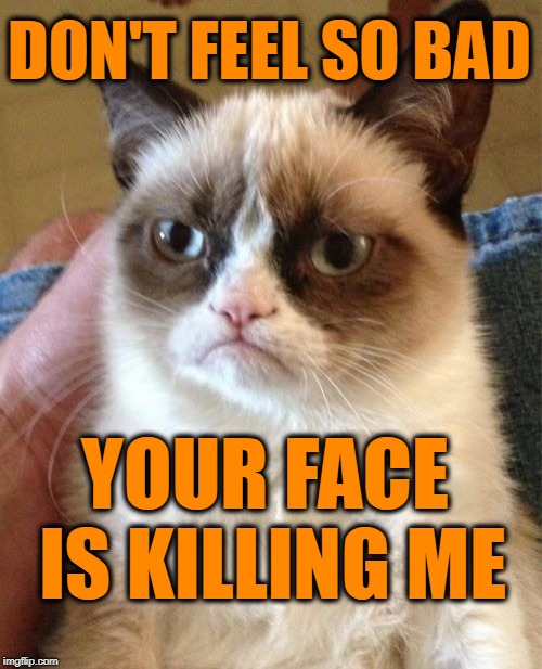 Grumpy Cat Meme | DON'T FEEL SO BAD YOUR FACE IS KILLING ME | image tagged in memes,grumpy cat | made w/ Imgflip meme maker