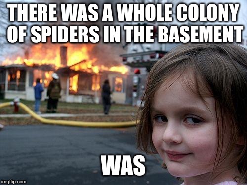 Disaster Girl Meme | THERE WAS A WHOLE COLONY OF SPIDERS IN THE BASEMENT; WAS | image tagged in memes,disaster girl | made w/ Imgflip meme maker