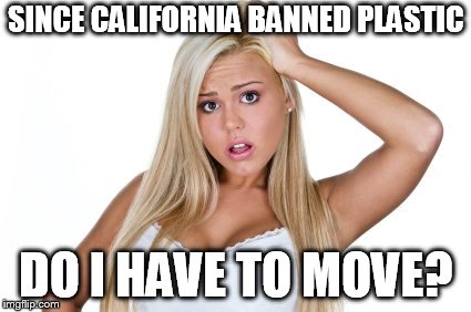 Dumb Blonde | SINCE CALIFORNIA BANNED PLASTIC; DO I HAVE TO MOVE? | image tagged in dumb blonde | made w/ Imgflip meme maker