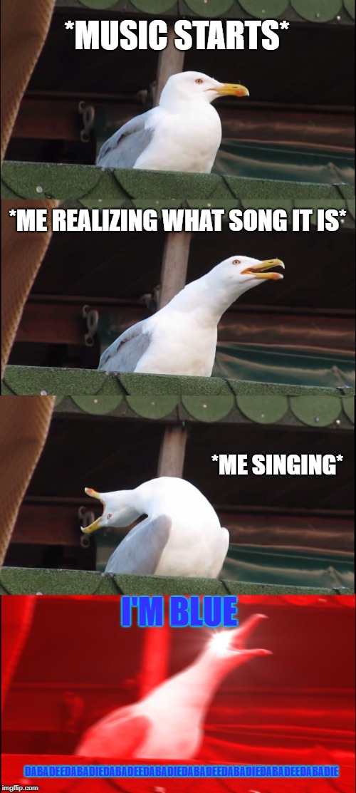 Inhaling Seagull Meme | *MUSIC STARTS*; *ME REALIZING WHAT SONG IT IS*; *ME SINGING*; I'M BLUE; DABADEEDABADIEDABADEEDABADIEDABADEEDABADIEDABADEEDABADIE | image tagged in memes,inhaling seagull | made w/ Imgflip meme maker