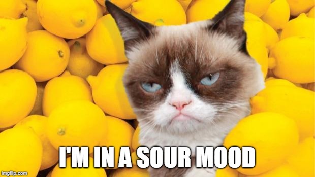 jelly cat lemon