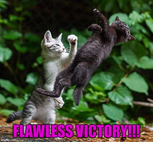 Finish Him!!! | FLAWLESS VICTORY!!! | image tagged in kitten fight,memes,mortal kombat,cats,finish him,animals | made w/ Imgflip meme maker