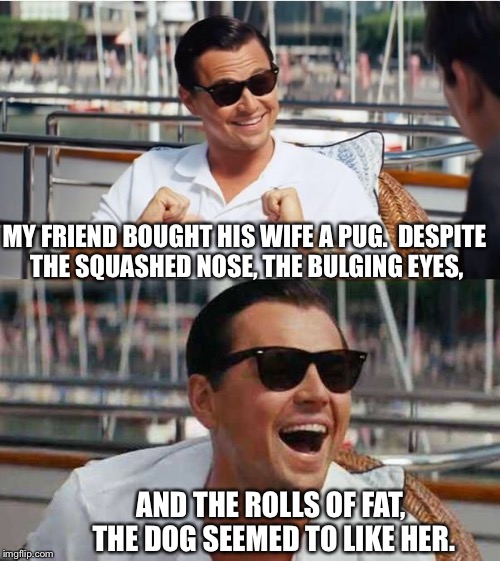 dicaprio |  MY FRIEND BOUGHT HIS WIFE A PUG.  DESPITE THE SQUASHED NOSE, THE BULGING EYES, AND THE ROLLS OF FAT, THE DOG SEEMED TO LIKE HER. | image tagged in dicaprio | made w/ Imgflip meme maker