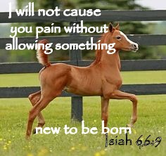 Isiah 66:9  I Will Not Cause Pain Something New will Be Born | I will not cause; you pain without; allowing something; new to be born; Isiah 66:9 | image tagged in bible,bible verse,holy bible,holy spirit,verse,god | made w/ Imgflip meme maker