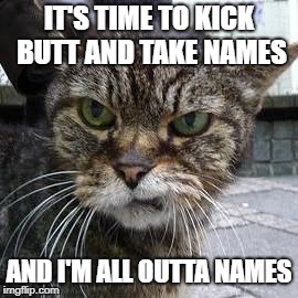 Angry Cat | IT'S TIME TO KICK BUTT AND TAKE NAMES; AND I'M ALL OUTTA NAMES | image tagged in angry cat | made w/ Imgflip meme maker