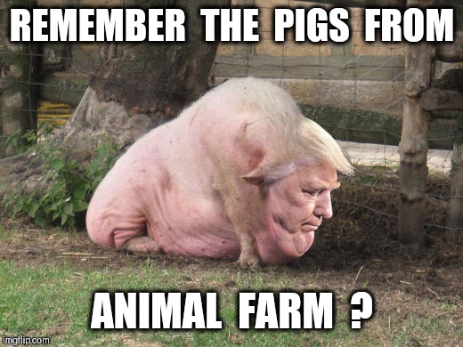 REMEMBER  THE  PIGS  FROM; ANIMAL  FARM  ? | image tagged in piggy | made w/ Imgflip meme maker