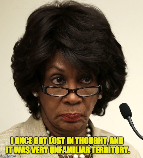 Maxine waters |  I ONCE GOT LOST IN THOUGHT, AND IT WAS VERY UNFAMILIAR TERRITORY. | image tagged in maxine waters | made w/ Imgflip meme maker