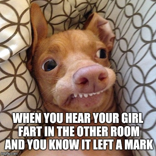 WHEN YOU HEAR YOUR GIRL FART IN THE OTHER ROOM AND YOU KNOW IT LEFT A MARK | image tagged in girl farts,terrible | made w/ Imgflip meme maker