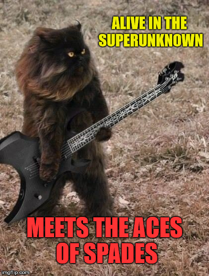 Death Metal Cat | ALIVE IN THE SUPERUNKNOWN MEETS THE ACES OF SPADES | image tagged in death metal cat | made w/ Imgflip meme maker