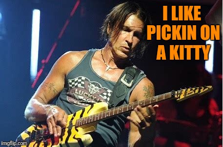 I LIKE PICKIN ON A KITTY | made w/ Imgflip meme maker