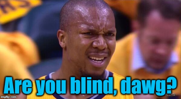 huh | Are you blind, dawg? | image tagged in huh | made w/ Imgflip meme maker