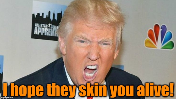 I hope they skin you alive! | image tagged in trump mad | made w/ Imgflip meme maker