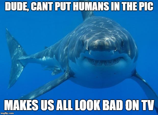 Straight White Shark | DUDE, CANT PUT HUMANS IN THE PIC MAKES US ALL LOOK BAD ON TV | image tagged in straight white shark | made w/ Imgflip meme maker