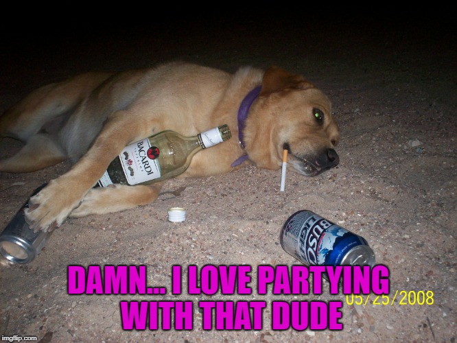 DAMN... I LOVE PARTYING WITH THAT DUDE | made w/ Imgflip meme maker