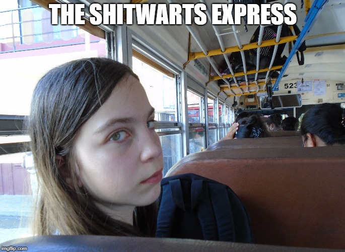 The Shitwarts Express | THE SHITWARTS EXPRESS | image tagged in harry potter,hogwarts,mean girls | made w/ Imgflip meme maker