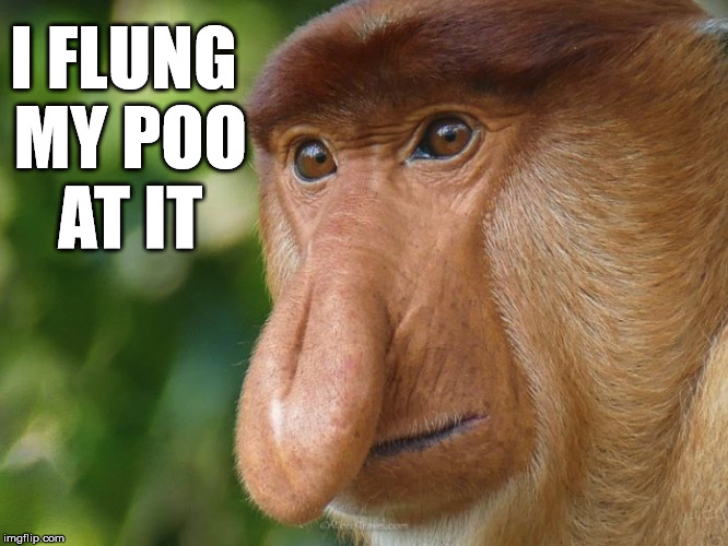 I FLUNG MY POO AT IT | made w/ Imgflip meme maker