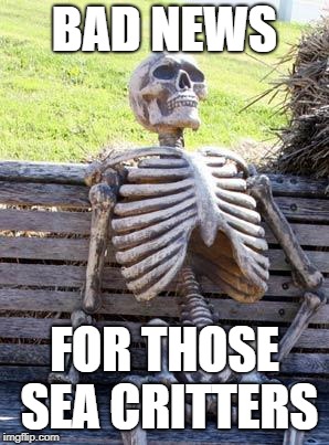 Waiting Skeleton Meme | BAD NEWS FOR THOSE SEA CRITTERS | image tagged in memes,waiting skeleton | made w/ Imgflip meme maker