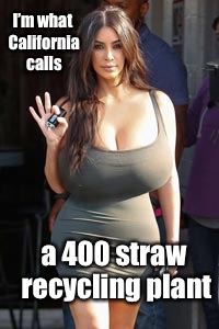 I’m what California calls a 400 straw recycling plant | made w/ Imgflip meme maker