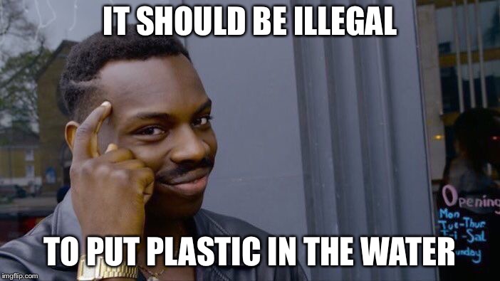 Roll Safe Think About It Meme | IT SHOULD BE ILLEGAL TO PUT PLASTIC IN THE WATER | image tagged in memes,roll safe think about it | made w/ Imgflip meme maker