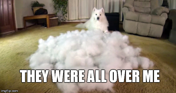 THEY WERE ALL OVER ME | made w/ Imgflip meme maker