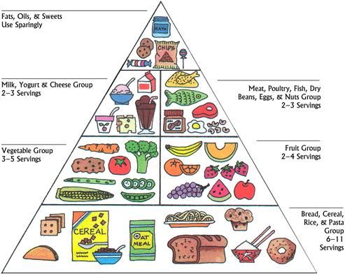 Food Pyramid  Blank Meme Template