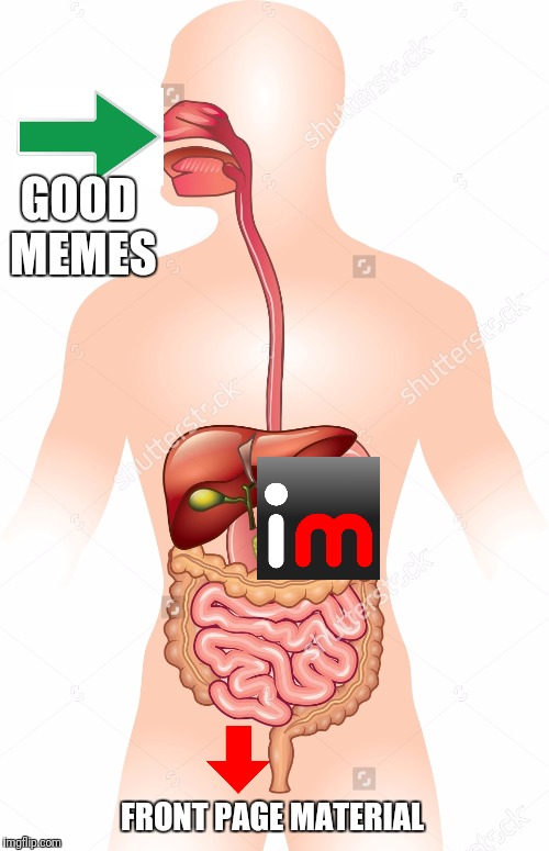 Imgflip's Automatic Meme Generator 3.0 | GOOD MEMES; FRONT PAGE MATERIAL | image tagged in memes,funny,imgflip,self depreciating,naked body | made w/ Imgflip meme maker