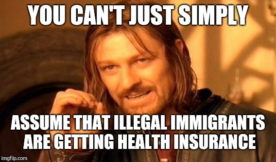 One Does Not Simply Meme | YOU CAN'T JUST SIMPLY ASSUME THAT ILLEGAL IMMIGRANTS ARE GETTING HEALTH INSURANCE | image tagged in memes,one does not simply | made w/ Imgflip meme maker