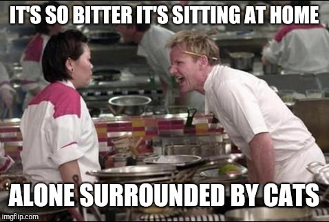 Angry Chef Gordon Ramsay Meme | IT'S SO BITTER IT'S SITTING AT HOME ALONE SURROUNDED BY CATS | image tagged in memes,angry chef gordon ramsay | made w/ Imgflip meme maker