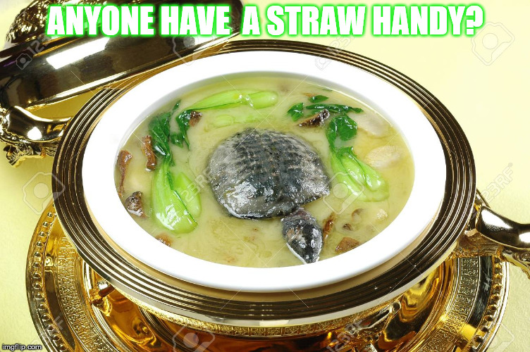 Yeah, I went there.  | ANYONE HAVE  A STRAW HANDY? | image tagged in turtles,plastic straws | made w/ Imgflip meme maker