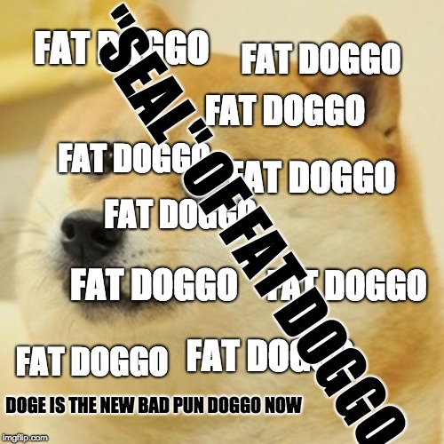 Doge Meme | FAT DOGGO; FAT DOGGO; FAT DOGGO; FAT DOGGO; FAT DOGGO; "SEAL" OF FAT DOGGO; FAT DOGGO; FAT DOGGO; FAT DOGGO; FAT DOGGO; FAT DOGGO; DOGE IS THE NEW BAD PUN DOGGO NOW | image tagged in memes,doge | made w/ Imgflip meme maker