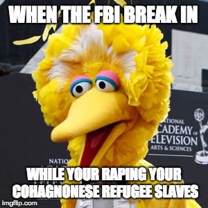 Big Bird |  WHEN THE FBI BREAK IN; WHILE YOUR RAPING YOUR COHAGNONESE REFUGEE SLAVES | image tagged in memes,big bird,scumbag | made w/ Imgflip meme maker